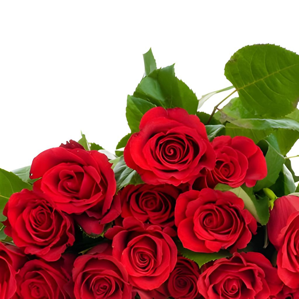 20 ROSES bouquet detail close-up