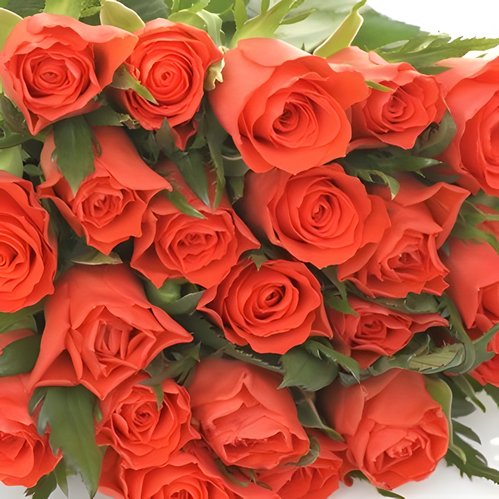 21 ROSES bouquet detail close-up