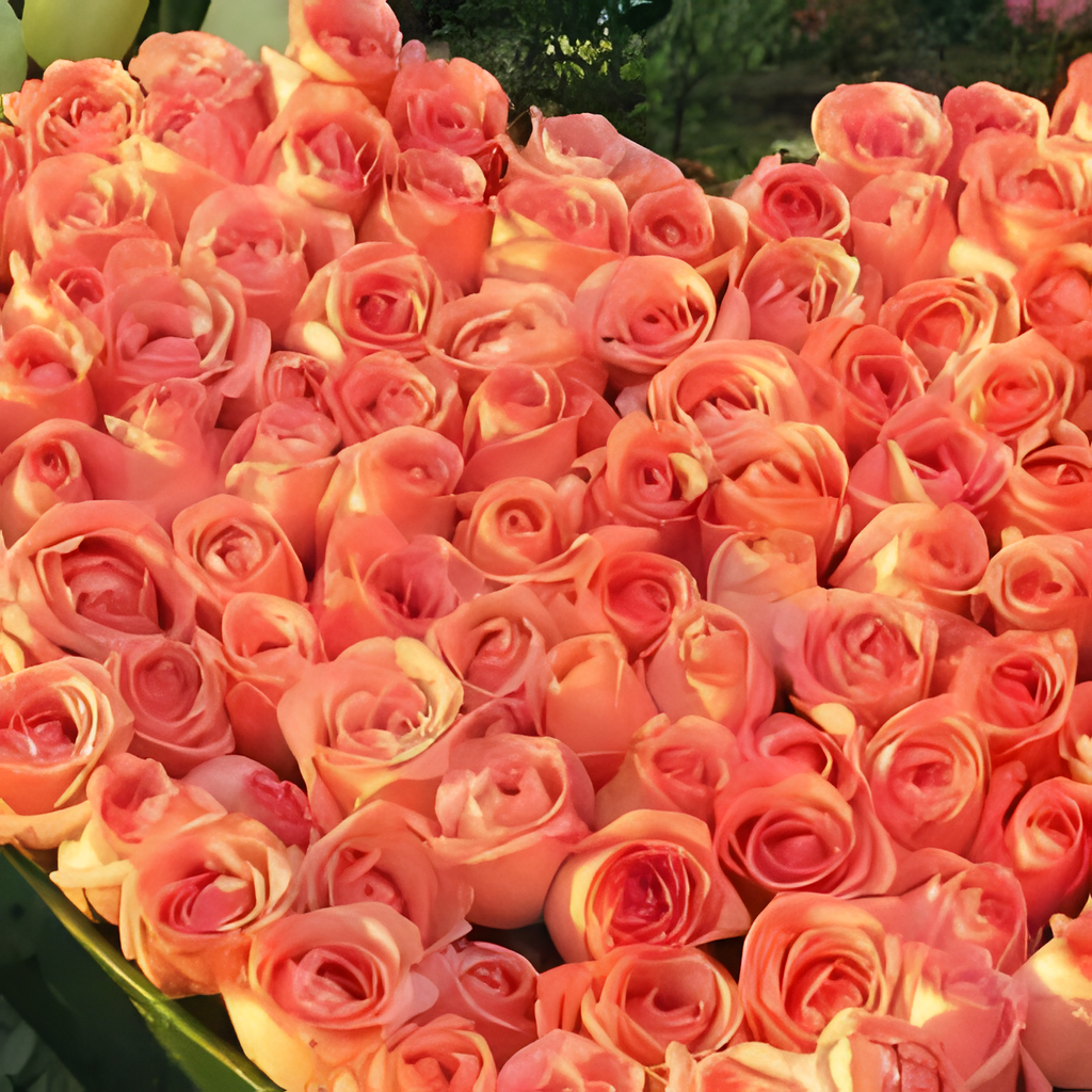 365 ROSES bouquet detail close-up