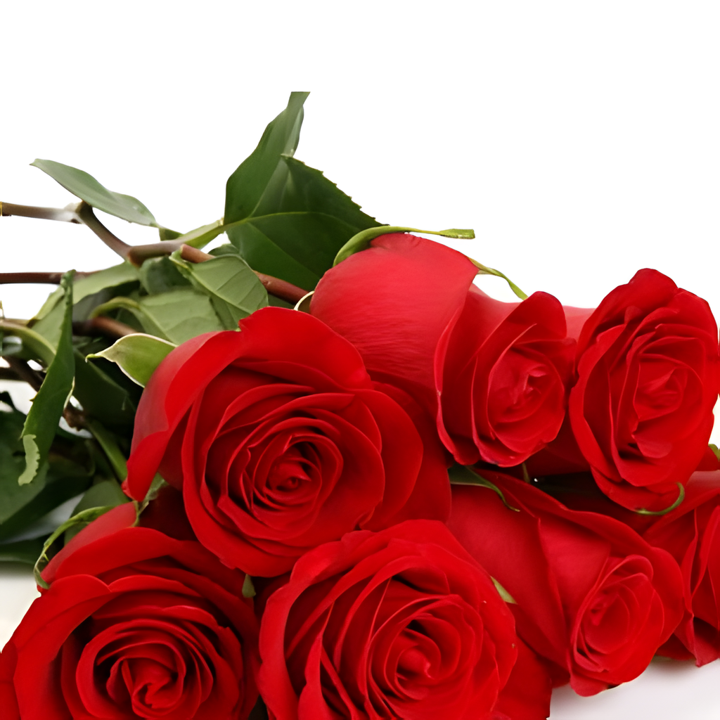 7 ROSES bouquet detail close-up