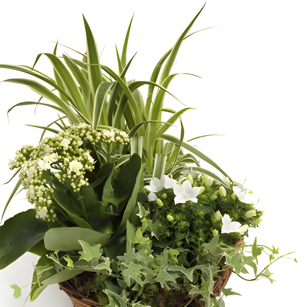 MIXED bouquet detail close-up
