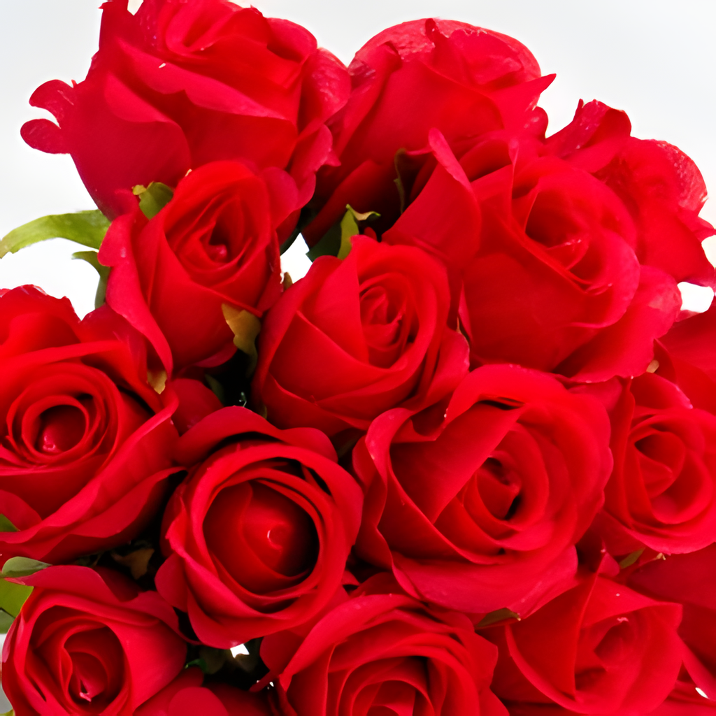 12 ROSES bouquet detail close-up