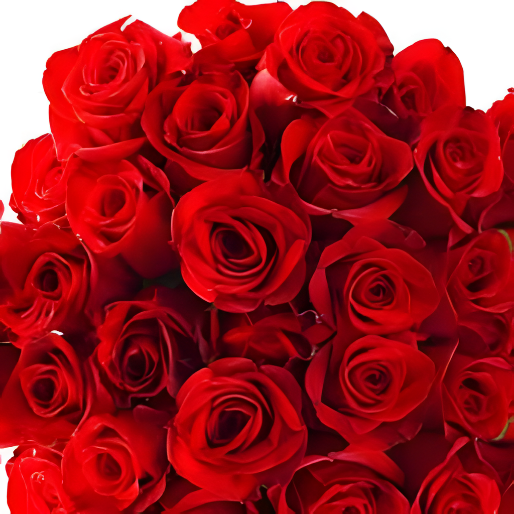 36 ROSES bouquet detail close-up