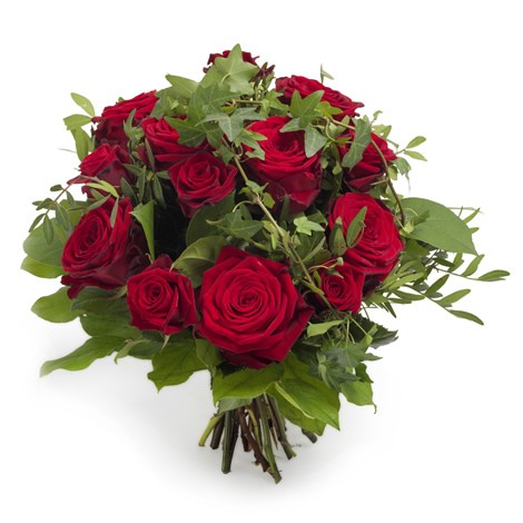 Bouquet of red roses with green leaves on a white background
