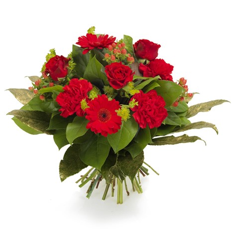 Bouquet of red flowers with green leaves on a white background