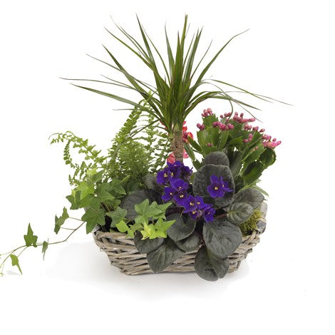 لوحة الألوان