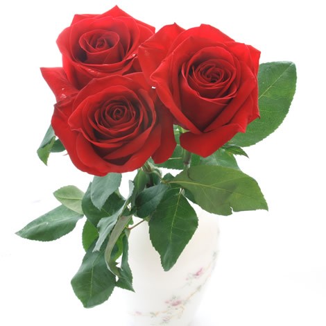 3 rosas