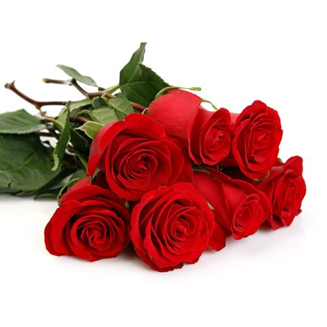 7 Roses