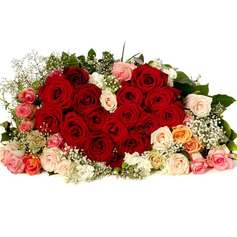 33 Roses