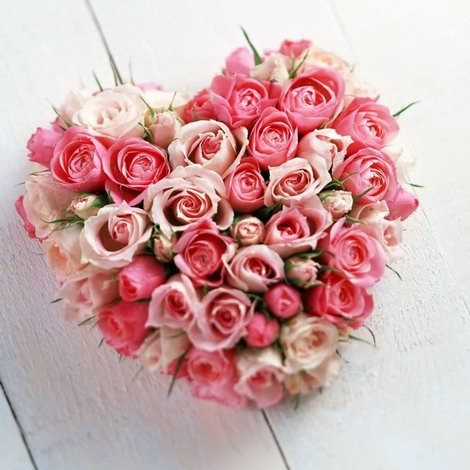 Heart-shaped arrangement of pink and white roses on a light wooden background
