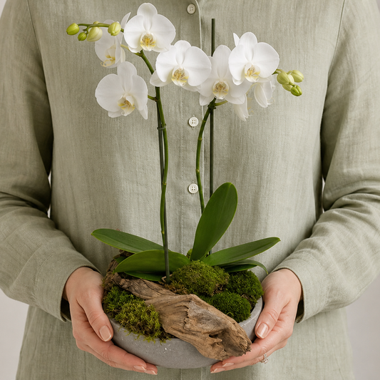 Person holding the GARDEN potted plant outdoors, torso only without face