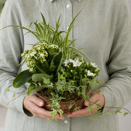 Person holding the MIXED potted plant outdoors, torso only without face