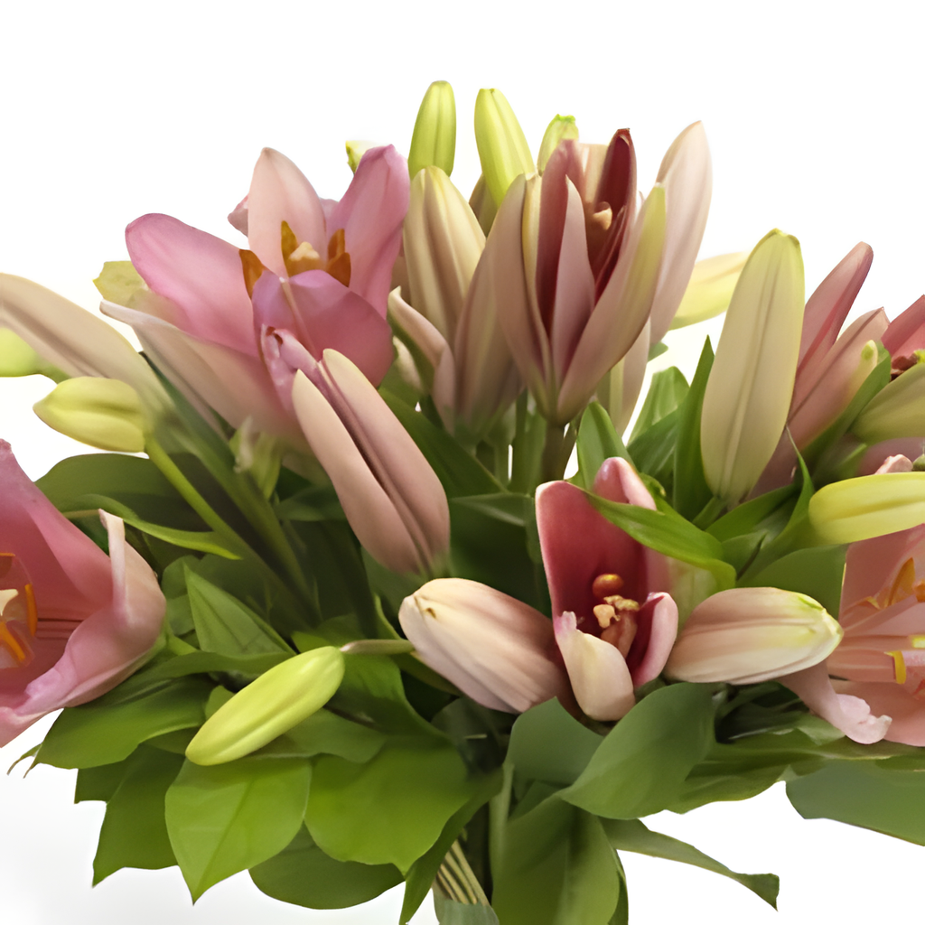 SAPHIR 1 bouquet detail close-up