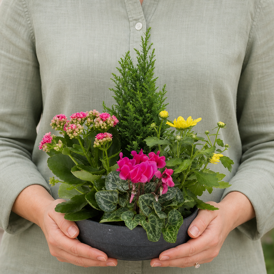 Person holding the TUTTI FRUTTI potted plant outdoors, torso only without face